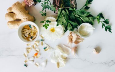 Zen Nutrition Academy: il benessere a portata di click