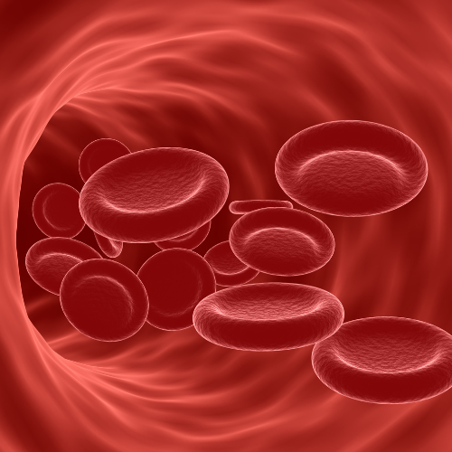 Immagine per articolo su anemia