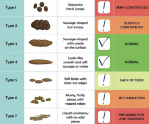 Quante volte fai la pupù?